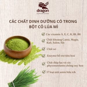 Các chất dinh dưỡng trong bột cỏ lúa mì