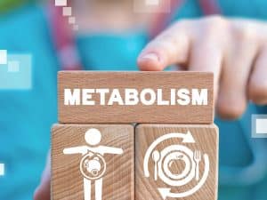 Metabolism