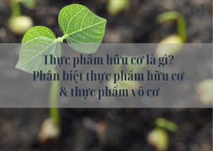 Thực phẩm hữu cơ là gì?