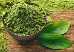 Bột trà xanh Matcha hữu cơ