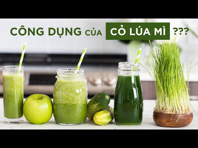 Smoothies cỏ lúa mì hữu cơ