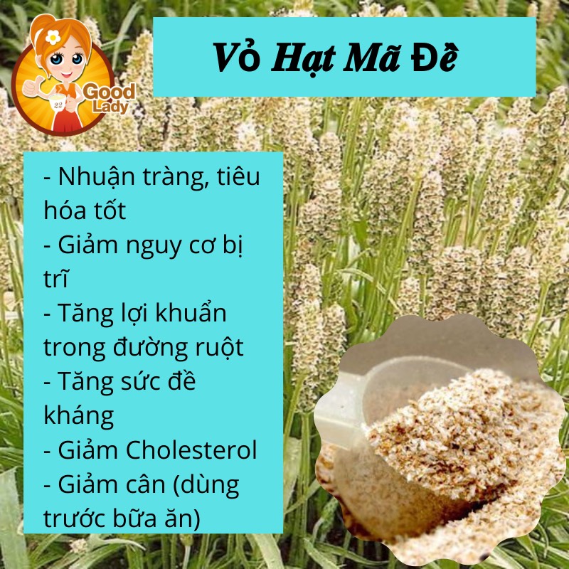 Công dụng của Võ hạt mã đề