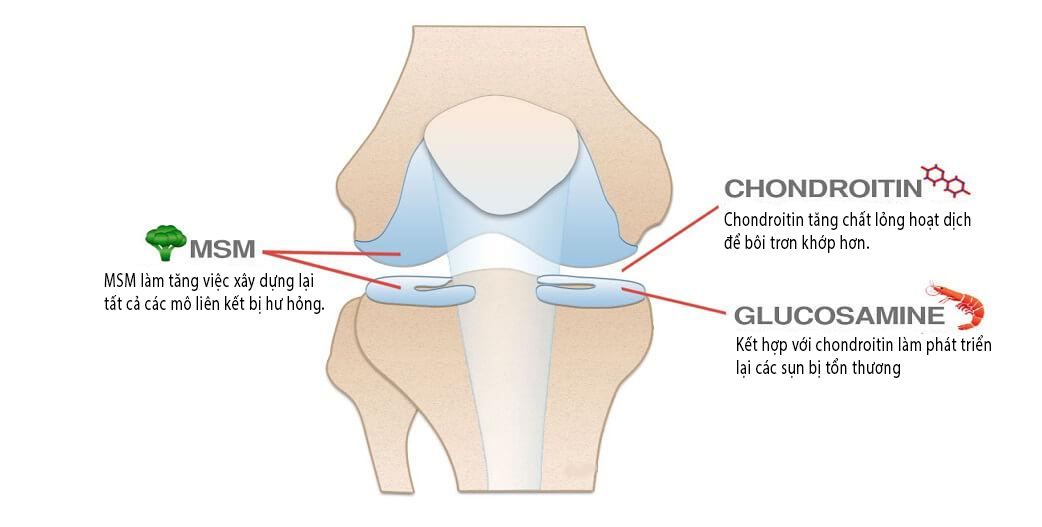 MSM (Methylsulfonylmethane) là gì?