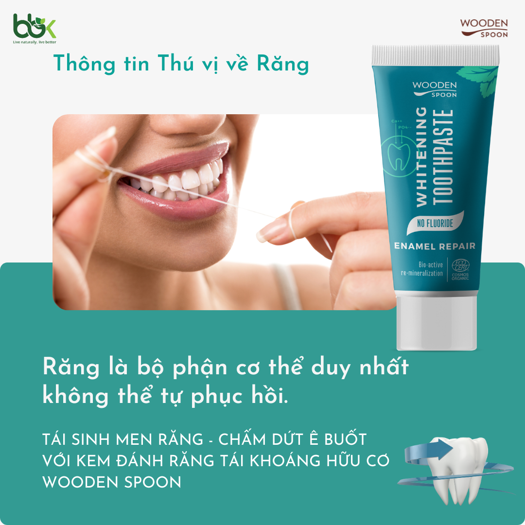 Sự Thật Sốc: Men Răng Là Bộ Phận Duy Nhất Không Thể Phục Hồi Tự Nhiên