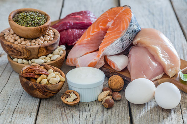 protein động vật và protein thực vật