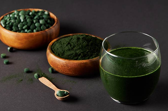 Tảo lục Chlorella – Dưỡng Chất Xanh Cho Cơ Thể Khỏe Mỗi Ngày