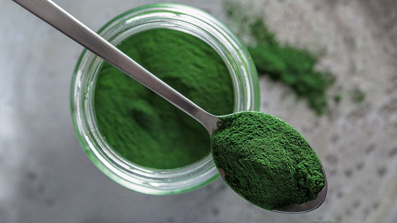 Tảo lục Chlorella – Dưỡng Chất Xanh Cho Cơ Thể Khỏe Mỗi Ngày