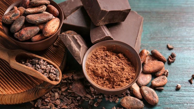 Bột Cacao hữu cơ Dragon Superfoods – tinh túy từ thiên nhiên Bột Cacao hữu cơ Dragon Superfoods – tinh túy từ thiên nhiên