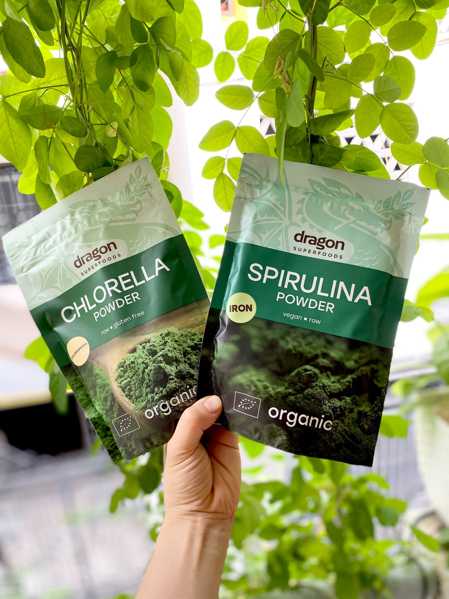 Chlorella và Spirulina: Sự Khác Biệt, Lợi Ích và Cách Chọn