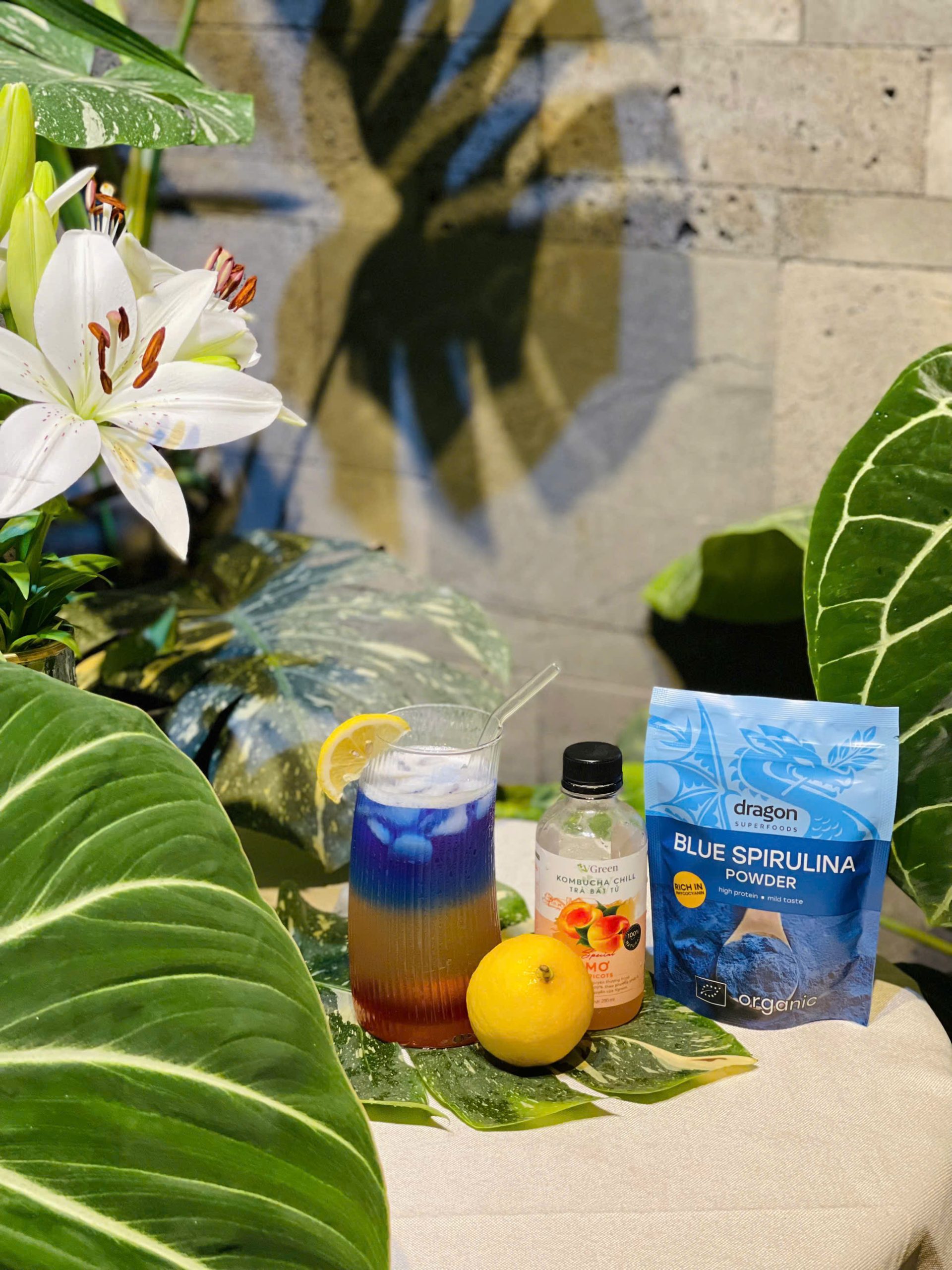 Phycocyanin và Blue Spirulina: Bí quyết xanh cho sức khỏe vượt trội
