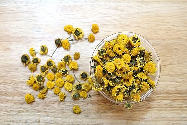 Cúc chi hữu cơ – hương thơm giúp tinh thần thư giãn