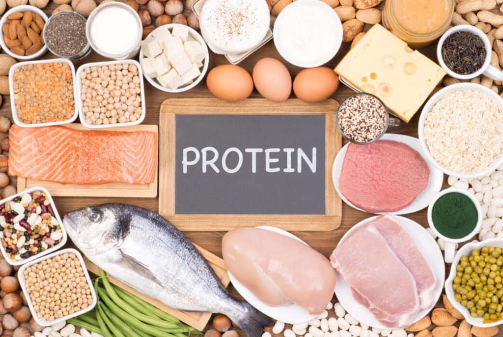 Protein Động Vật Và Protein Thực Vật
