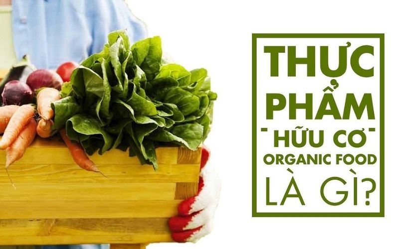Thực phẩm hữu cơ là gì? Thực phẩm hữu có có tốt không?